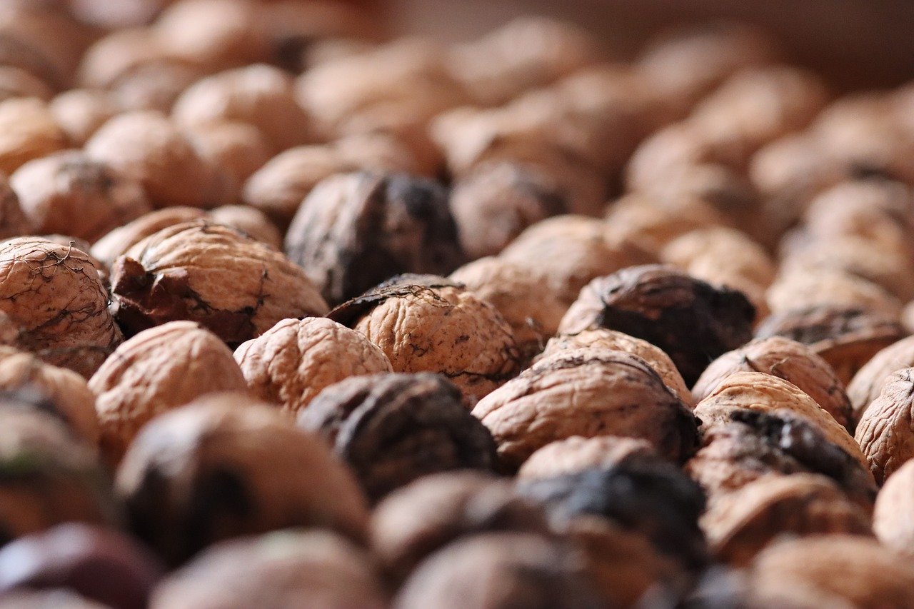 “黑客攻击背后的心理学理解攻击者的行为”